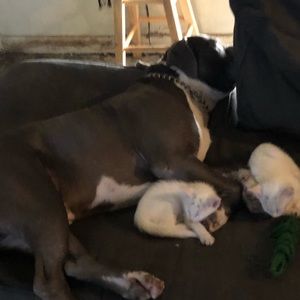 Meet your Posher, Madelyn